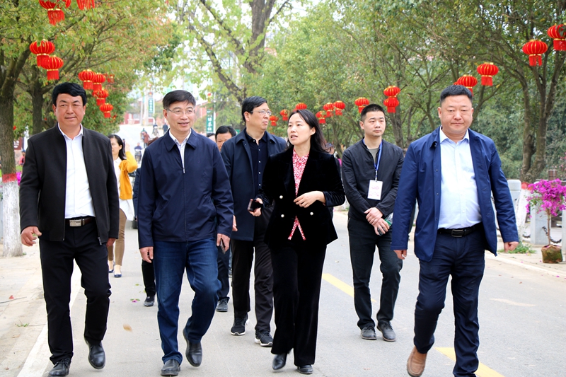 IMG_6355.JPG IMG_6355.JPG