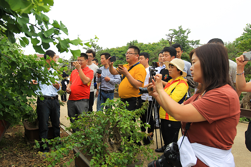 潢川县“全球文旅创作者大会”采风活动圆满完成