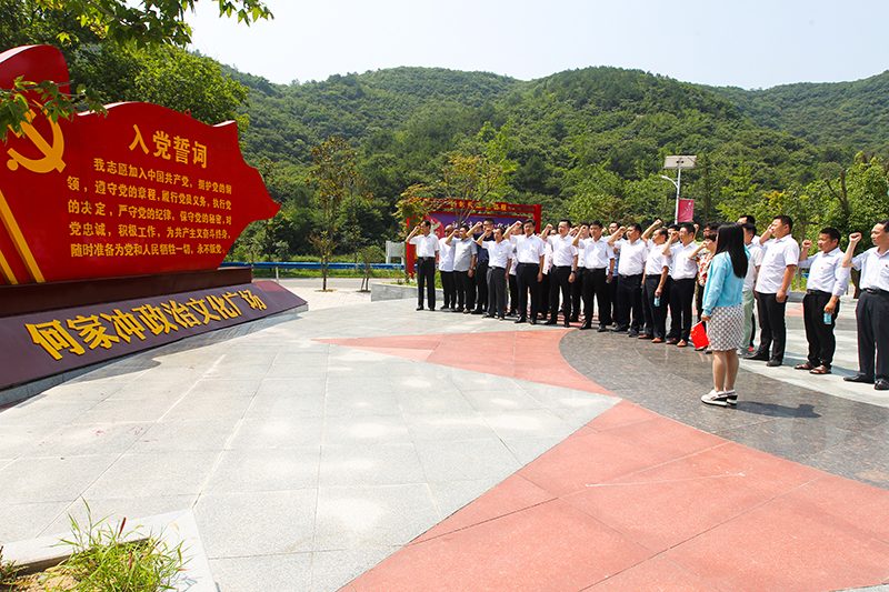 潢川县委办公室开展“不忘初心、牢记使命”主题党日活动