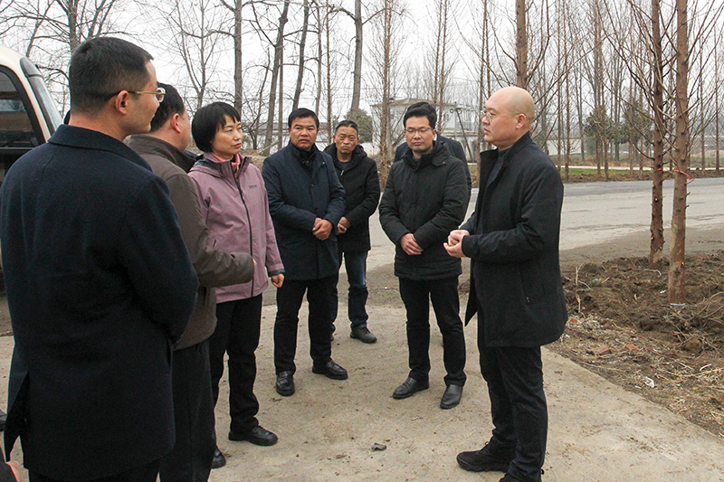 赵军伟调研G106、G312道路绿化提质工程 赵军伟调研G106、G312道路绿化提质工程