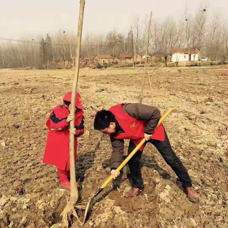 潢川一小参加“共植青年林 志愿我先行”义务植树活动2.jpg 潢川一小参加“共植青年林 志愿我先行”义务植树活动2.jpg