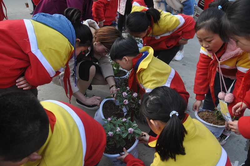 DSC_5128-wps图片.JPG