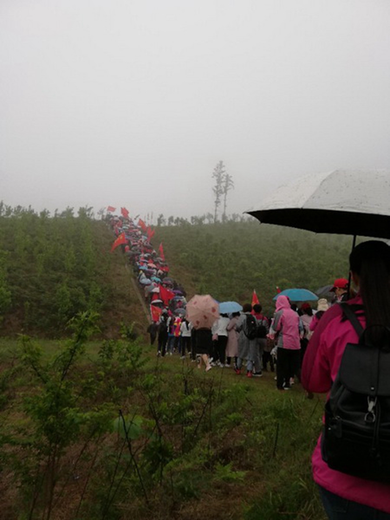健步走1.jpg 健步走1.jpg