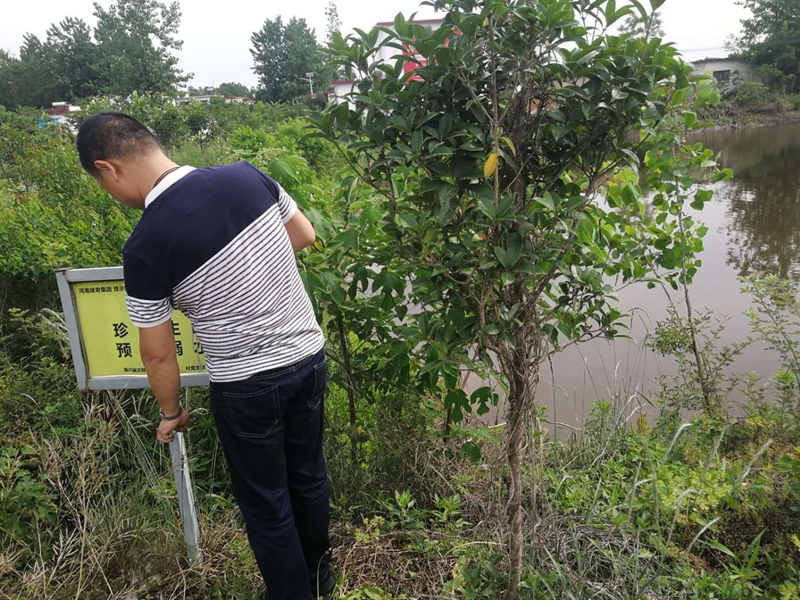 微信图片_20190520225022.jpg 微信图片_20190520225022.jpg