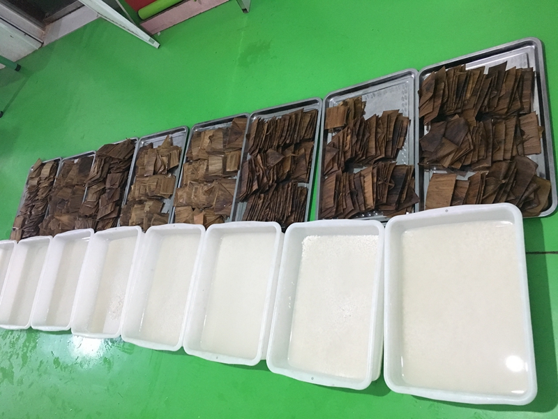 图片3.jpg 图片3.jpg