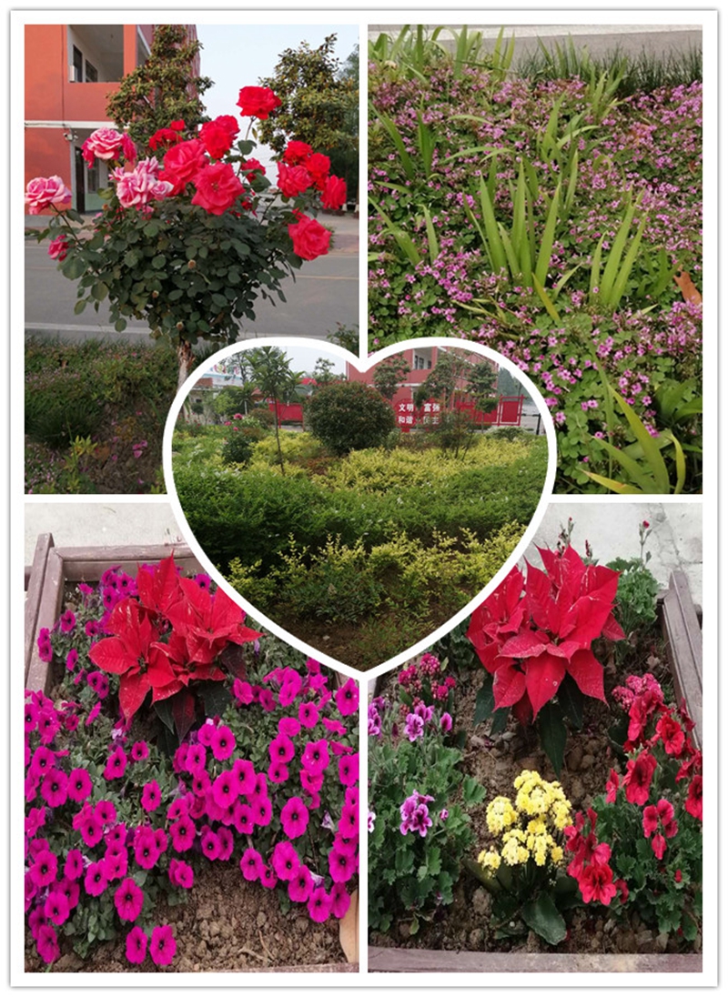 图片3.jpg 图片3.jpg