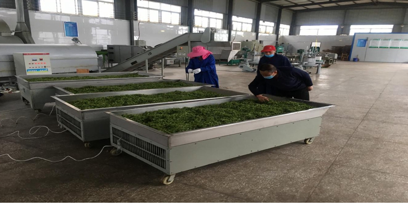 图片4.jpg 图片4.jpg