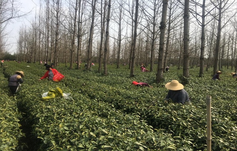 图片5.jpg 图片5.jpg