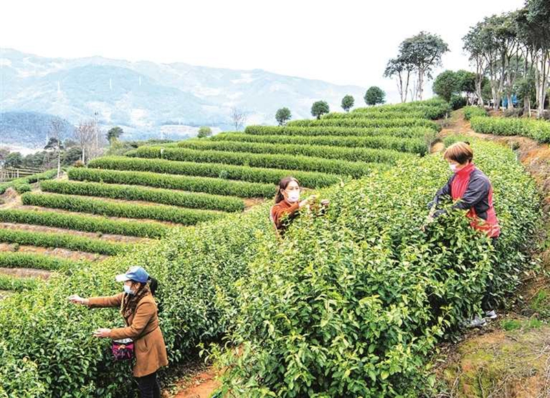 图片9.jpg 图片9.jpg