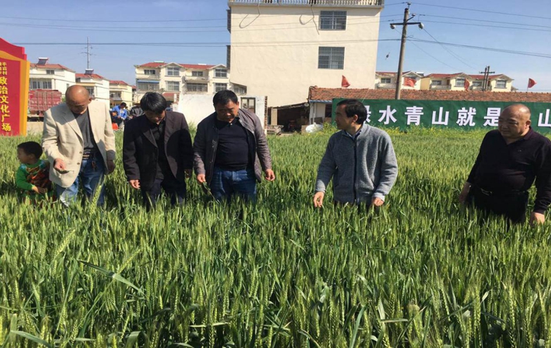 图片11.jpg 图片11.jpg