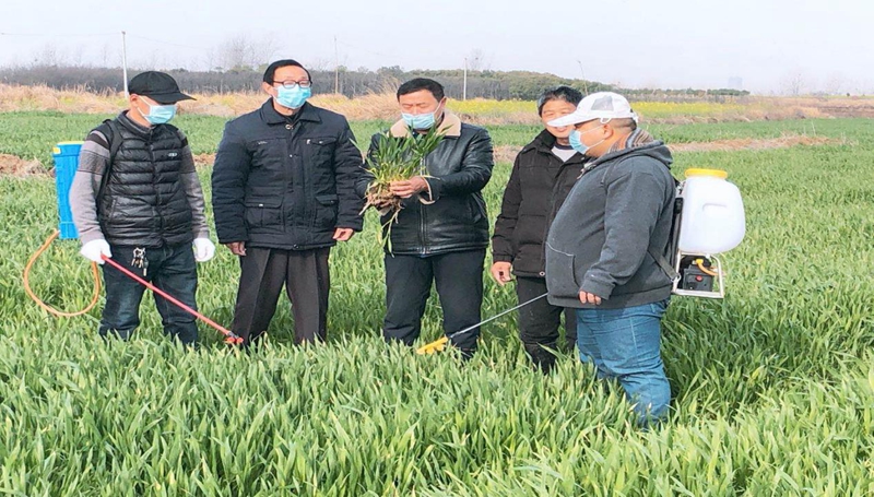 图片13.jpg 图片13.jpg