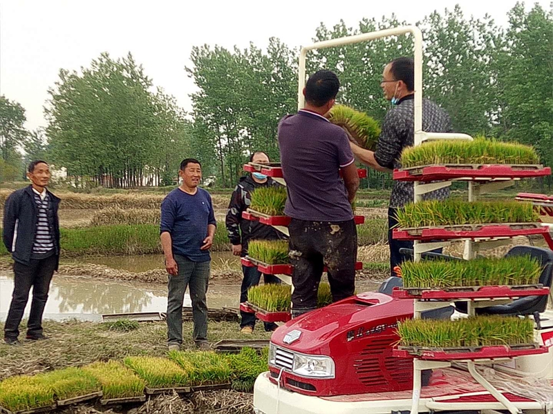 图片15.jpg 图片15.jpg