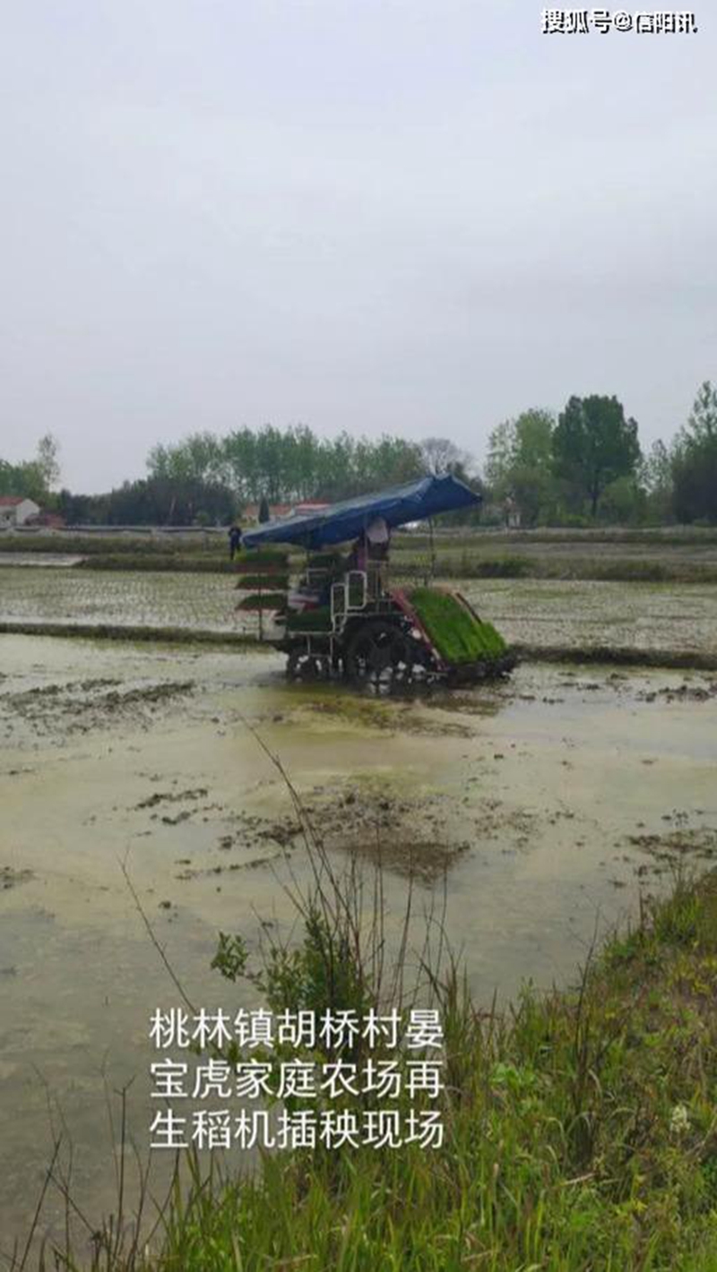 图片18.jpg 图片18.jpg