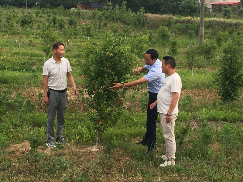 微信图片_202005221519433.jpg 微信图片_202005221519433.jpg