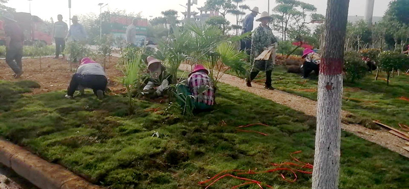 图片1.jpg 图片1.jpg