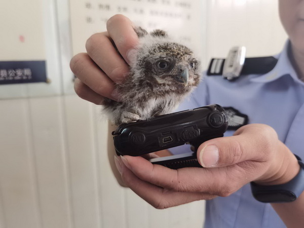 202068115237779 (1).jpg