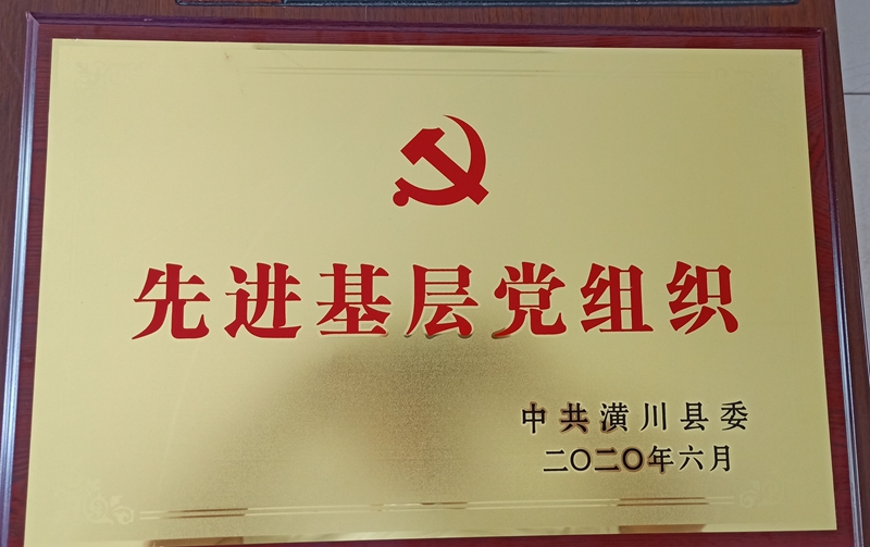 图片6.jpg 图片6.jpg