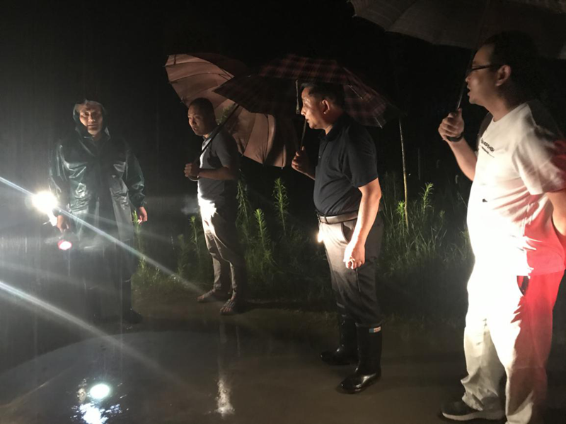 图片4.png 图片4.png