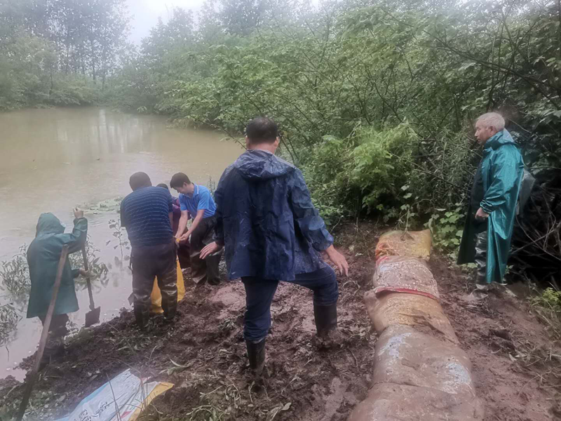 图片8.png 图片8.png