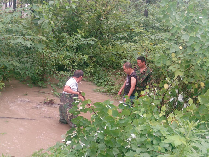 图片9.png 图片9.png