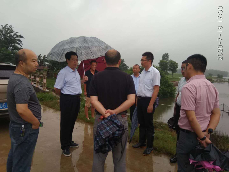 图片1.jpg 图片1.jpg