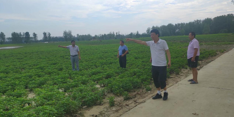 图片2.jpg 图片2.jpg