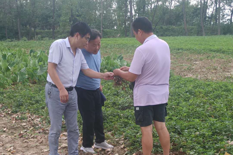 图片4.jpg 图片4.jpg