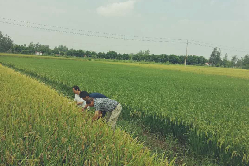 图片5.jpg 图片5.jpg