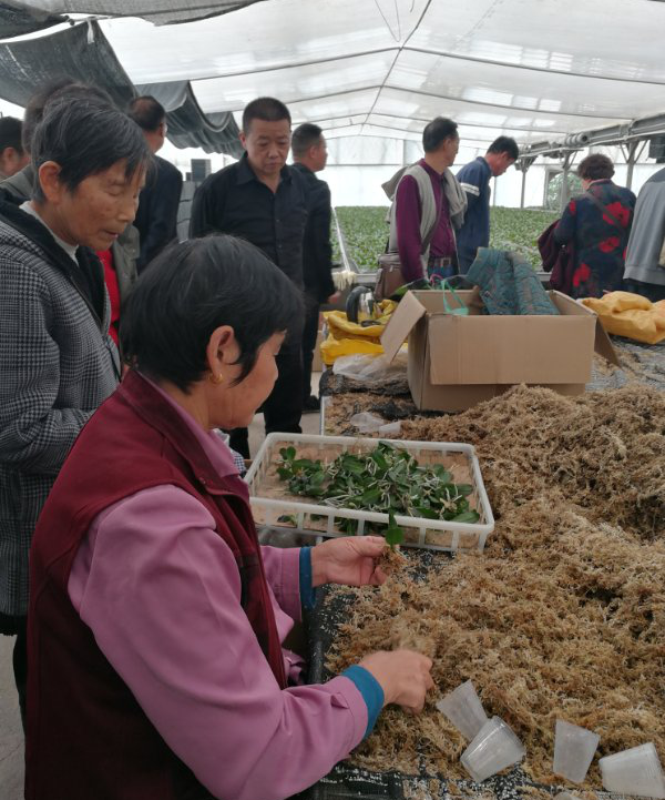 图片 3.png 图片 3.png