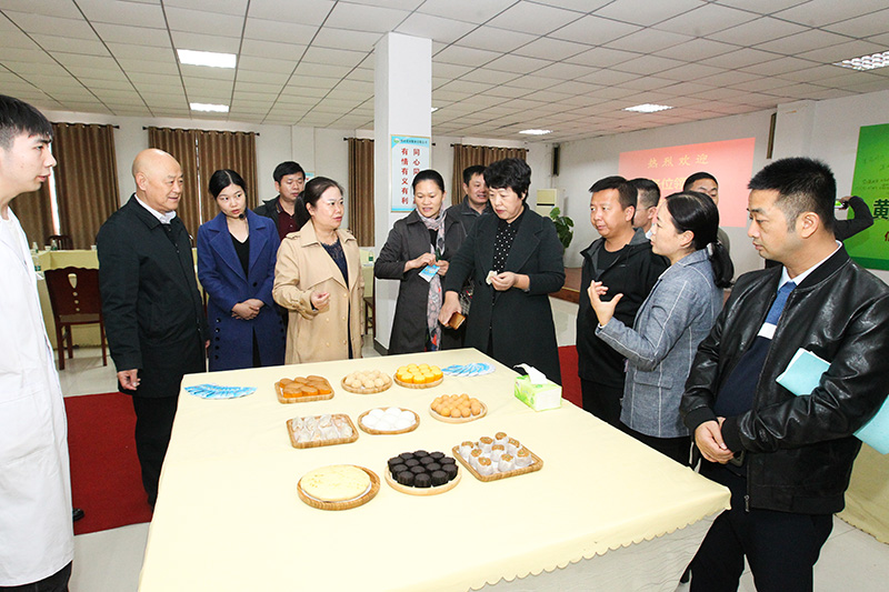 广西省藤县政协来我县调研