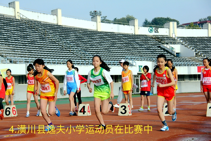 微信图片_202011021724561.jpg