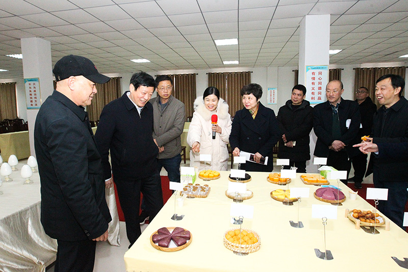 市政协来我县考察接续推进全面脱贫攻坚与乡村振兴有效衔接工作 市政协来我县考察接续推进全面脱贫攻坚与乡村振兴有效衔接工作