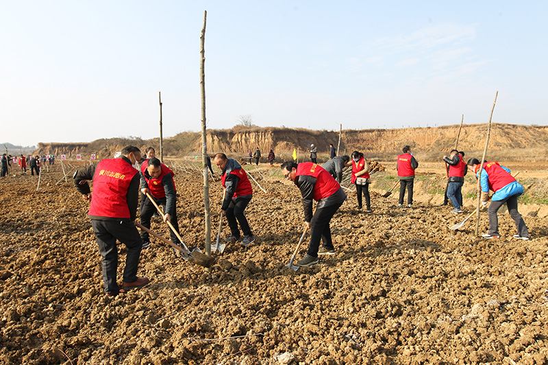 潢川县开展冬季全民义务植树活动