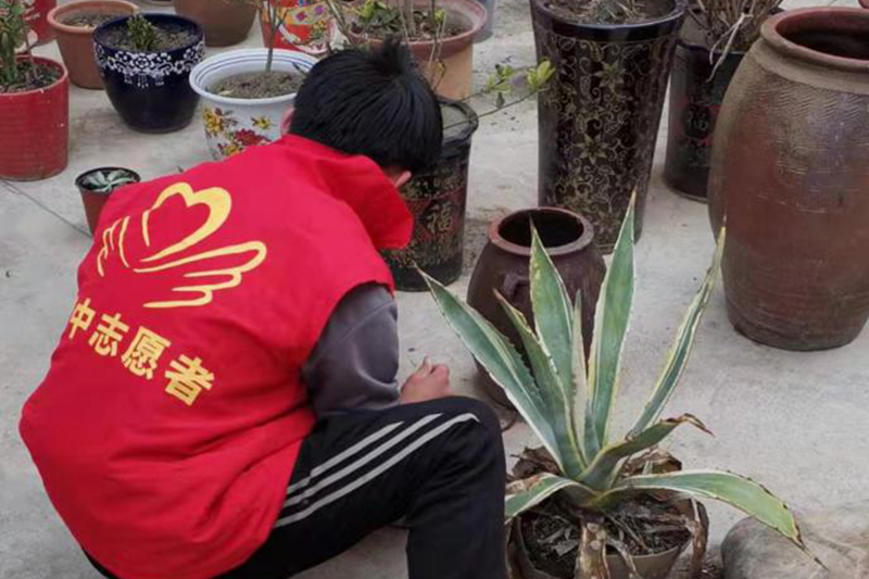 图片4.png 图片4.png
