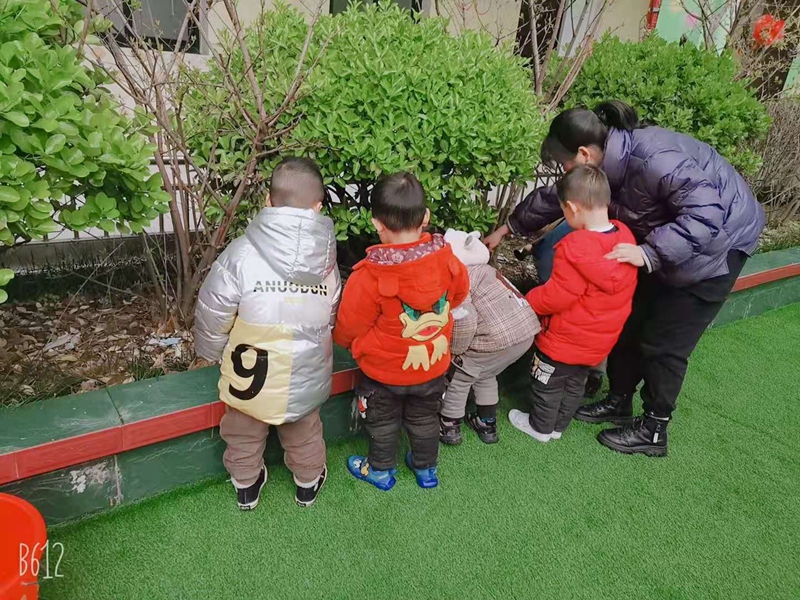 微信图片_20210312120836.jpg 微信图片_20210312120836.jpg
