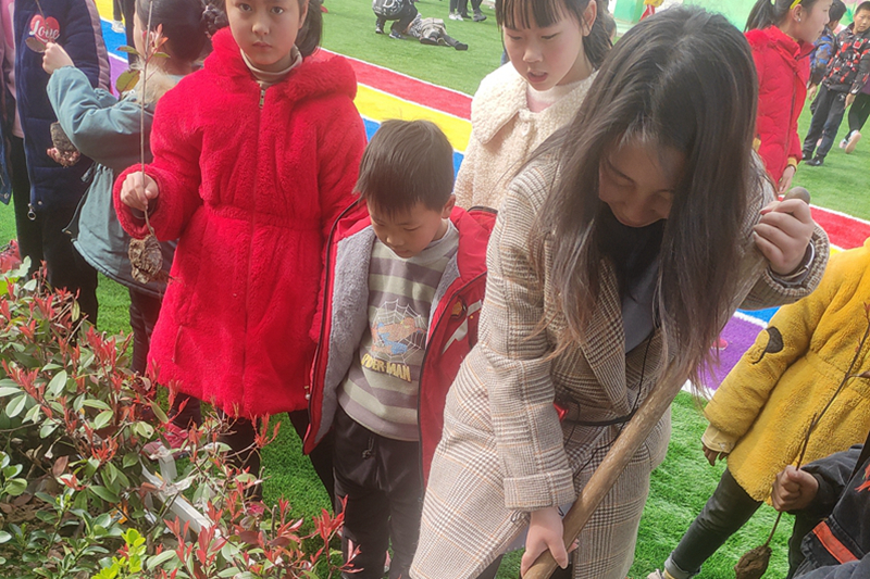 图片9.jpg 图片9.jpg