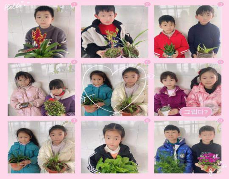 图片2.jpg 图片2.jpg