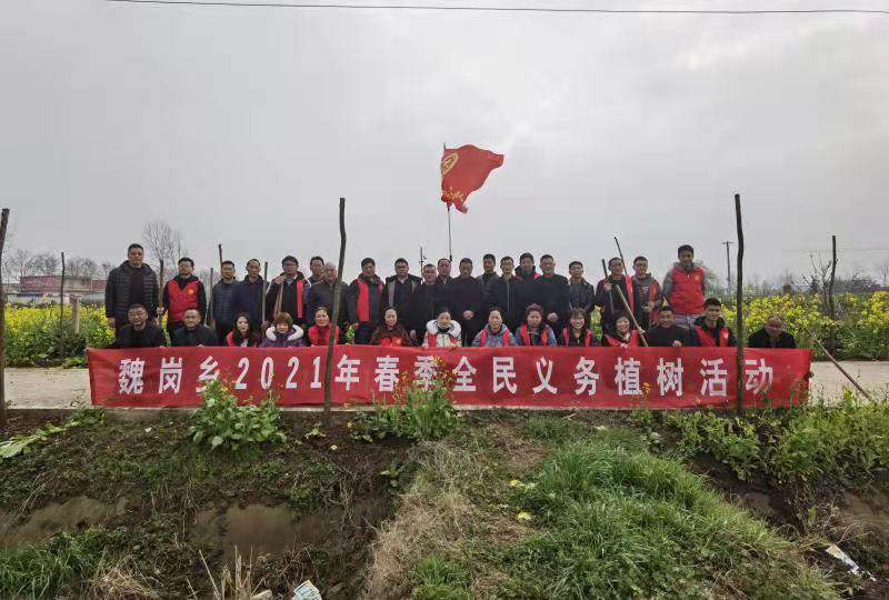 图片14.png