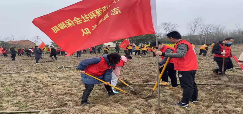图片12.png 图片12.png