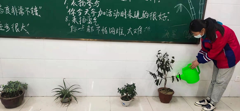 图片3.jpg 图片3.jpg