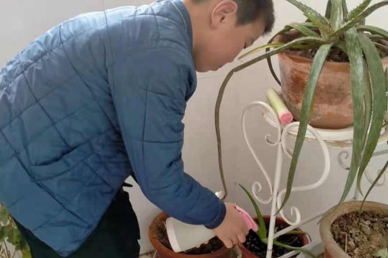 图片5.jpg 图片5.jpg