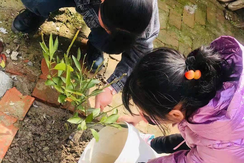 图片8.jpg 图片8.jpg