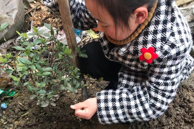 图片9.jpg 图片9.jpg