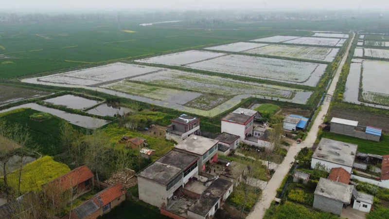 图片1.jpg 图片1.jpg