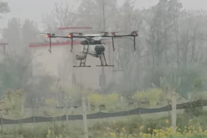 图片2.jpg 图片2.jpg