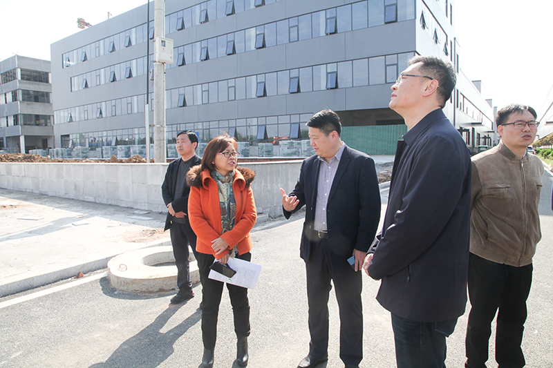 国家开发银行河南分行领导来我县调研