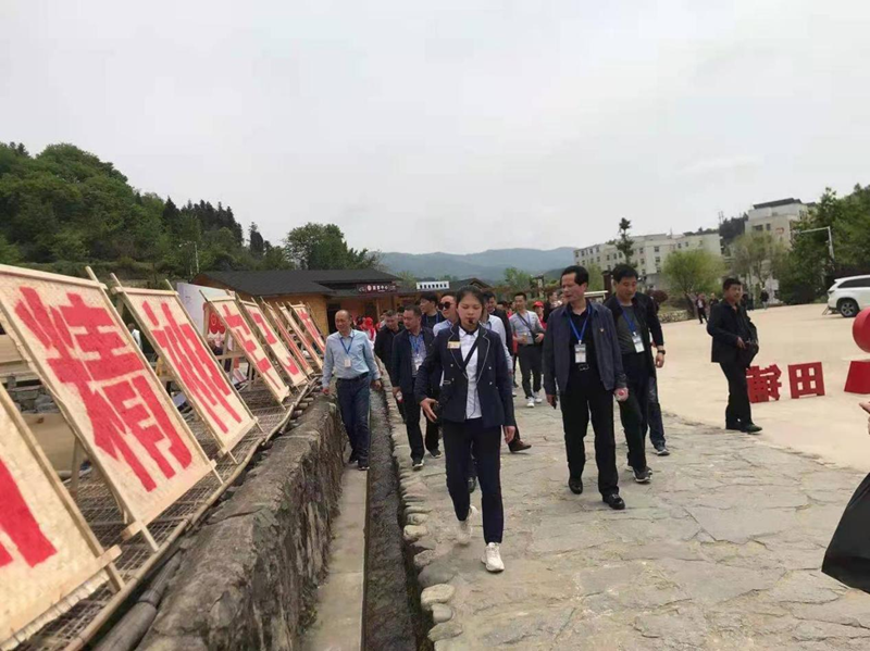 图片41.png 图片41.png