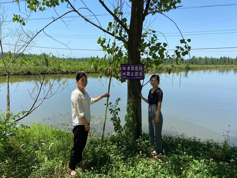 图片4.png 图片4.png