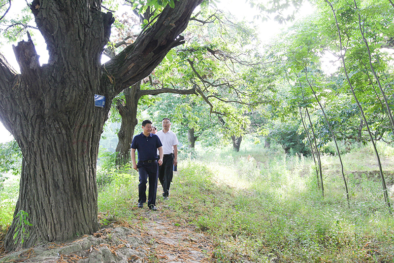 赵军华到乡镇调研项目产业发展