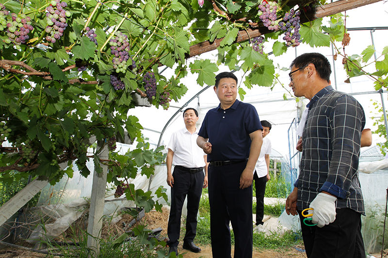 赵军华到乡镇调研项目产业发展